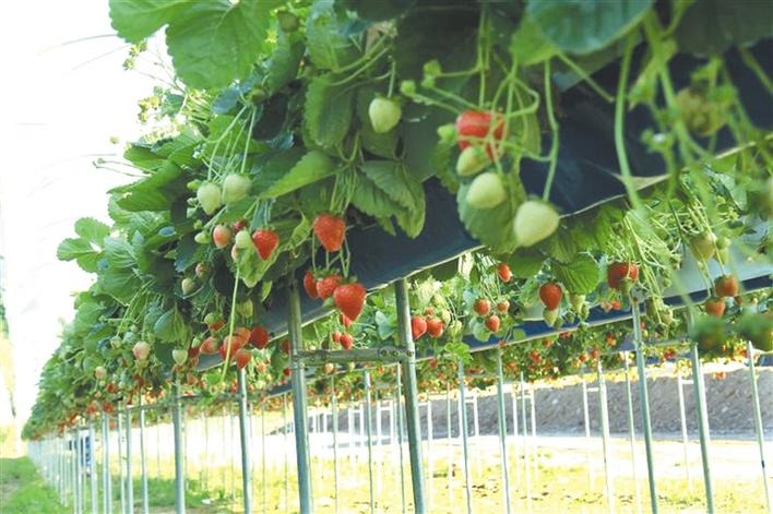 公刘故里的华丽转身