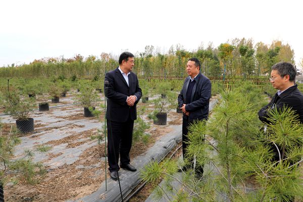 【水利厅】王拴虎在西咸新区调研时强调要做好水生态修复工作