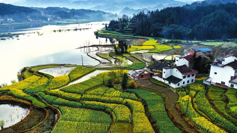 汉中市南郑区红庙镇干坝村春色