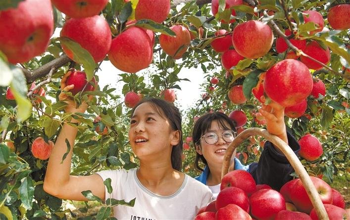 陕西最新苹果新闻苹果16最新官方消息